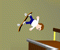 Profi Skater - Sportspiele Spiel