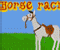 Pferderennen -  Sportspiele Spiel