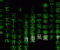 Desktops Of The Future - Andere Spiel