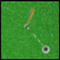 Erstaunliches Golf - Sportspiele Spiel