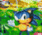 Der ultimative Sonic Quiz -  Puzzle Spiel