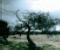 Vor dem Sturm - Puzzle Spiel