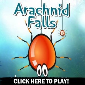 Arachnid Falls -  Aktion Spiel